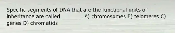 Specific segments of DNA that are the functional units of inheritance are called ________. A) chromosomes B) telomeres C) genes D) chromatids