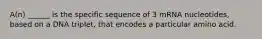 A(n) ______ is the specific sequence of 3 mRNA nucleotides, based on a DNA triplet, that encodes a particular amino acid.