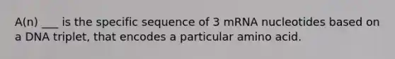 A(n) ___ is the specific sequence of 3 mRNA nucleotides based on a DNA triplet, that encodes a particular amino acid.