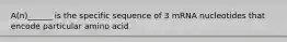 A(n)______ is the specific sequence of 3 mRNA nucleotides that encode particular amino acid