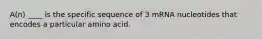 A(n) ____ is the specific sequence of 3 mRNA nucleotides that encodes a particular amino acid.