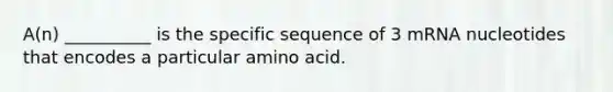 A(n) __________ is the specific sequence of 3 mRNA nucleotides that encodes a particular amino acid.