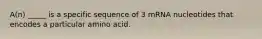 A(n) _____ is a specific sequence of 3 mRNA nucleotides that encodes a particular amino acid.