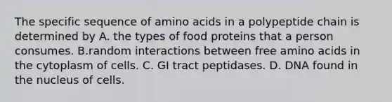 The specific sequence of amino acids in a polypeptide chain is determined by A. the types of food proteins that a person consumes. B.random interactions between free amino acids in the cytoplasm of cells. C. GI tract peptidases. D. DNA found in the nucleus of cells.