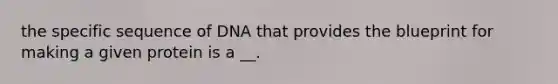 the specific sequence of DNA that provides the blueprint for making a given protein is a __.