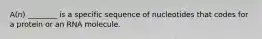 A(n) ________ is a specific sequence of nucleotides that codes for a protein or an RNA molecule.