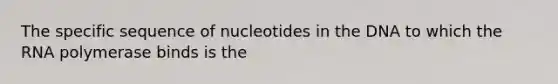 The specific sequence of nucleotides in the DNA to which the RNA polymerase binds is the