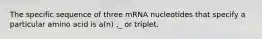 The specific sequence of three mRNA nucleotides that specify a particular amino acid is a(n) ,_ or triplet.