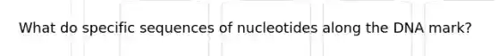 What do specific sequences of nucleotides along the DNA mark?