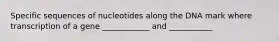 Specific sequences of nucleotides along the DNA mark where transcription of a gene ____________ and ___________