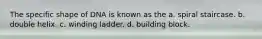 The specific shape of DNA is known as the a. spiral staircase. b. double helix. c. winding ladder. d. building block.