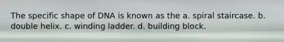 The specific shape of DNA is known as the a. spiral staircase. b. double helix. c. winding ladder. d. building block.