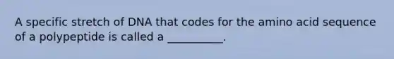 A specific stretch of DNA that codes for the amino acid sequence of a polypeptide is called a __________.