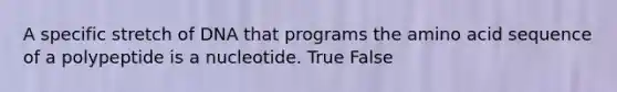 A specific stretch of DNA that programs the amino acid sequence of a polypeptide is a nucleotide. True False