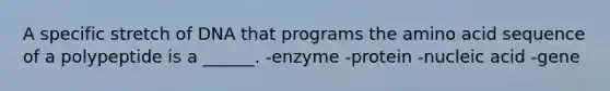 A specific stretch of DNA that programs the amino acid sequence of a polypeptide is a ______. -enzyme -protein -nucleic acid -gene