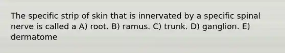 The specific strip of skin that is innervated by a specific spinal nerve is called a A) root. B) ramus. C) trunk. D) ganglion. E) dermatome