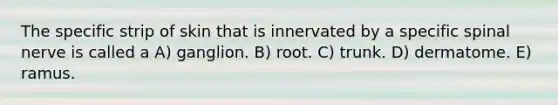 The specific strip of skin that is innervated by a specific spinal nerve is called a A) ganglion. B) root. C) trunk. D) dermatome. E) ramus.