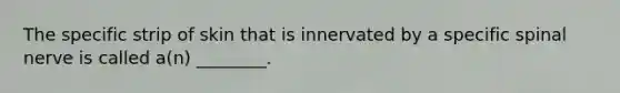 The specific strip of skin that is innervated by a specific spinal nerve is called a(n) ________.