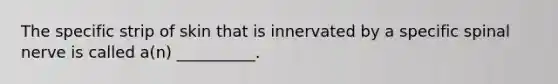 The specific strip of skin that is innervated by a specific spinal nerve is called a(n) __________.