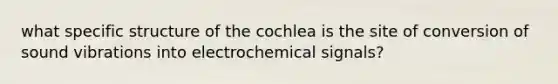 what specific structure of the cochlea is the site of conversion of sound vibrations into electrochemical signals?