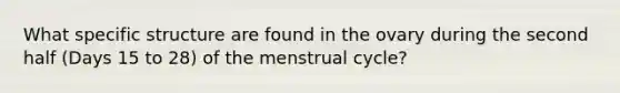 What specific structure are found in the ovary during the second half (Days 15 to 28) of the menstrual cycle?