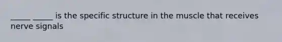 _____ _____ is the specific structure in the muscle that receives nerve signals