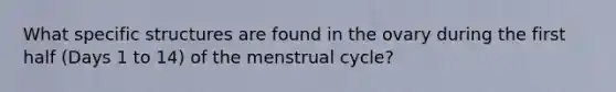 What specific structures are found in the ovary during the first half (Days 1 to 14) of the menstrual cycle?