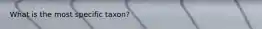 What is the most specific taxon?