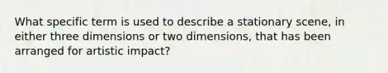 What specific term is used to describe a stationary scene, in either three dimensions or two dimensions, that has been arranged for artistic impact?