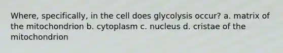 Where, specifically, in the cell does glycolysis occur? a. matrix of the mitochondrion b. cytoplasm c. nucleus d. cristae of the mitochondrion