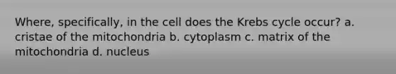 Where, specifically, in the cell does the <a href='https://www.questionai.com/knowledge/kqfW58SNl2-krebs-cycle' class='anchor-knowledge'>krebs cycle</a> occur? a. cristae of the mitochondria b. cytoplasm c. matrix of the mitochondria d. nucleus