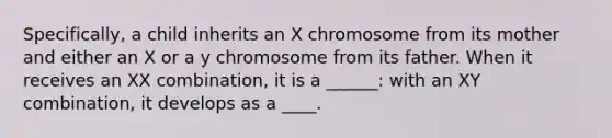 Specifically, a child inherits an X chromosome from its mother and either an X or a y chromosome from its father. When it receives an XX combination, it is a ______: with an XY combination, it develops as a ____.