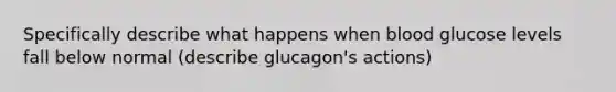 Specifically describe what happens when blood glucose levels fall below normal (describe glucagon's actions)