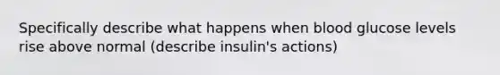 Specifically describe what happens when blood glucose levels rise above normal (describe insulin's actions)