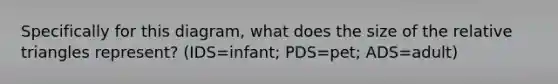 Specifically for this diagram, what does the size of the relative triangles represent? (IDS=infant; PDS=pet; ADS=adult)