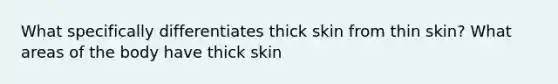 What specifically differentiates thick skin from thin skin? What areas of the body have thick skin