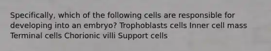 Specifically, which of the following cells are responsible for developing into an embryo? Trophoblasts cells Inner cell mass Terminal cells Chorionic villi Support cells