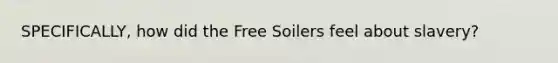 SPECIFICALLY, how did the Free Soilers feel about slavery?