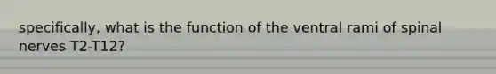 specifically, what is the function of the ventral rami of <a href='https://www.questionai.com/knowledge/kyBL1dWgAx-spinal-nerves' class='anchor-knowledge'>spinal nerves</a> T2-T12?