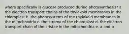 where specifically is glucose produced during photosynthesis? a. the electron transport chains of the thylakoid membranes in the chloroplast b. the photosystems of the thylakoid membranes in the mitochondria c. the stroma of the chloroplast d. the electron transport chain of the cristae in the mitochondria e. a and b