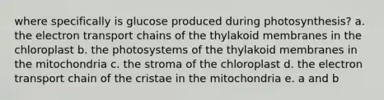 where specifically is glucose produced during photosynthesis? a. the electron transport chains of the thylakoid membranes in the chloroplast b. the photosystems of the thylakoid membranes in the mitochondria c. the stroma of the chloroplast d. the electron transport chain of the cristae in the mitochondria e. a and b