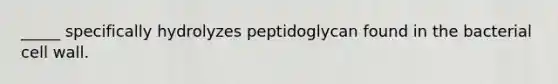 _____ specifically hydrolyzes peptidoglycan found in the bacterial cell wall.