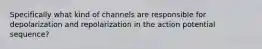 Specifically what kind of channels are responsible for depolarization and repolarization in the action potential sequence?