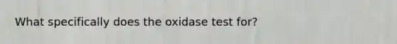 What specifically does the oxidase test for?