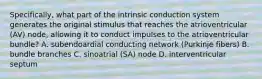 Specifically, what part of the intrinsic conduction system generates the original stimulus that reaches the atrioventricular (AV) node, allowing it to conduct impulses to the atrioventricular bundle? A. subendoardial conducting network (Purkinje fibers) B. bundle branches C. sinoatrial (SA) node D. interventricular septum