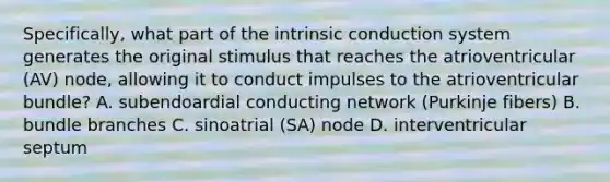 Specifically, what part of the intrinsic conduction system generates the original stimulus that reaches the atrioventricular (AV) node, allowing it to conduct impulses to the atrioventricular bundle? A. subendoardial conducting network (Purkinje fibers) B. bundle branches C. sinoatrial (SA) node D. interventricular septum