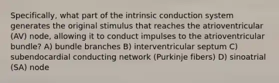 Specifically, what part of the intrinsic conduction system generates the original stimulus that reaches the atrioventricular (AV) node, allowing it to conduct impulses to the atrioventricular bundle? A) bundle branches B) interventricular septum C) subendocardial conducting network (Purkinje fibers) D) sinoatrial (SA) node