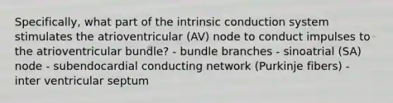 Specifically, what part of the intrinsic conduction system stimulates the atrioventricular (AV) node to conduct impulses to the atrioventricular bundle? - bundle branches - sinoatrial (SA) node - subendocardial conducting network (Purkinje fibers) - inter ventricular septum