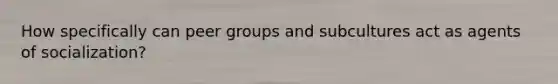 How specifically can peer groups and subcultures act as agents of socialization?