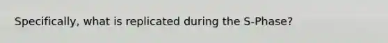 Specifically, what is replicated during the S-Phase?